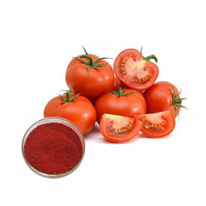 Polvo de tomate