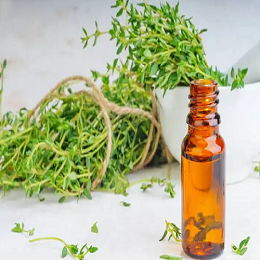 Beneficios para la salud increíbles de Thyme Essential Oil - Parte 01